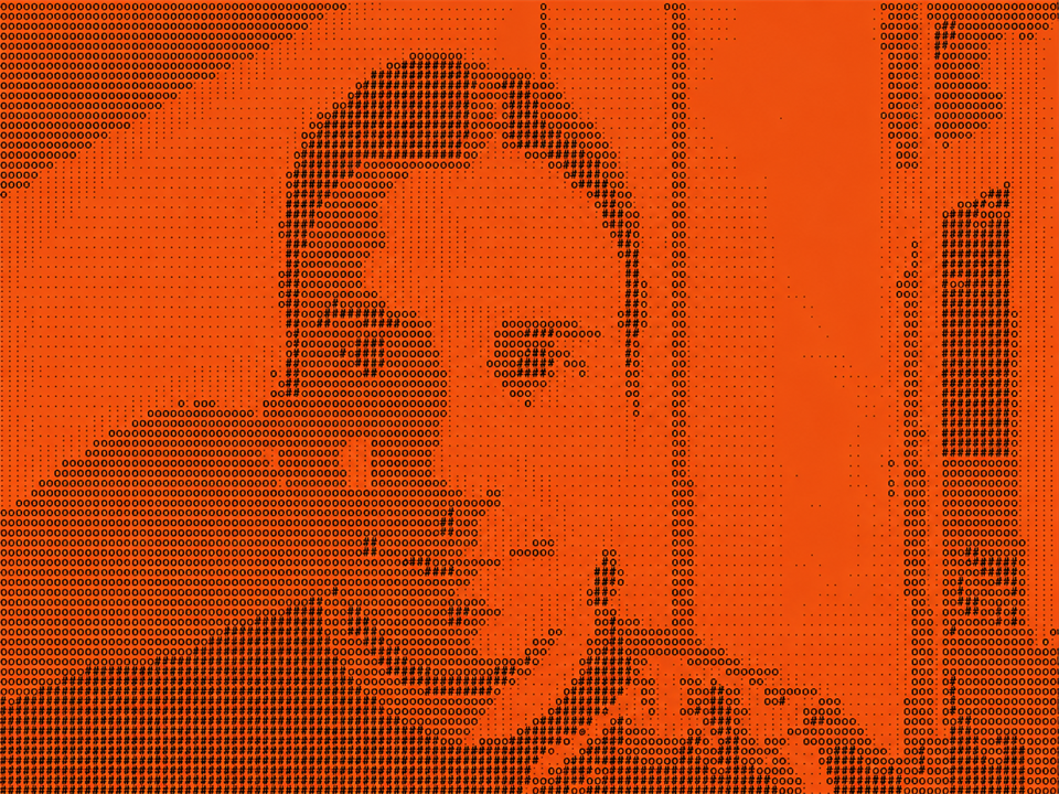 Dennis, Senior full-stack developer & architect bij Tulipsoft